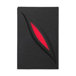 ZKTeco KR101E Wiegand Reader