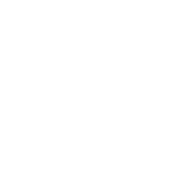Face Recognition icon