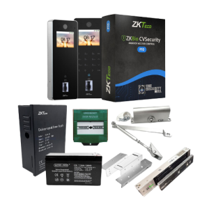 ZKTeco Access Control Outdoor Biometric Combo Kit